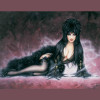 Elvira Mistress of the Dark Costumes